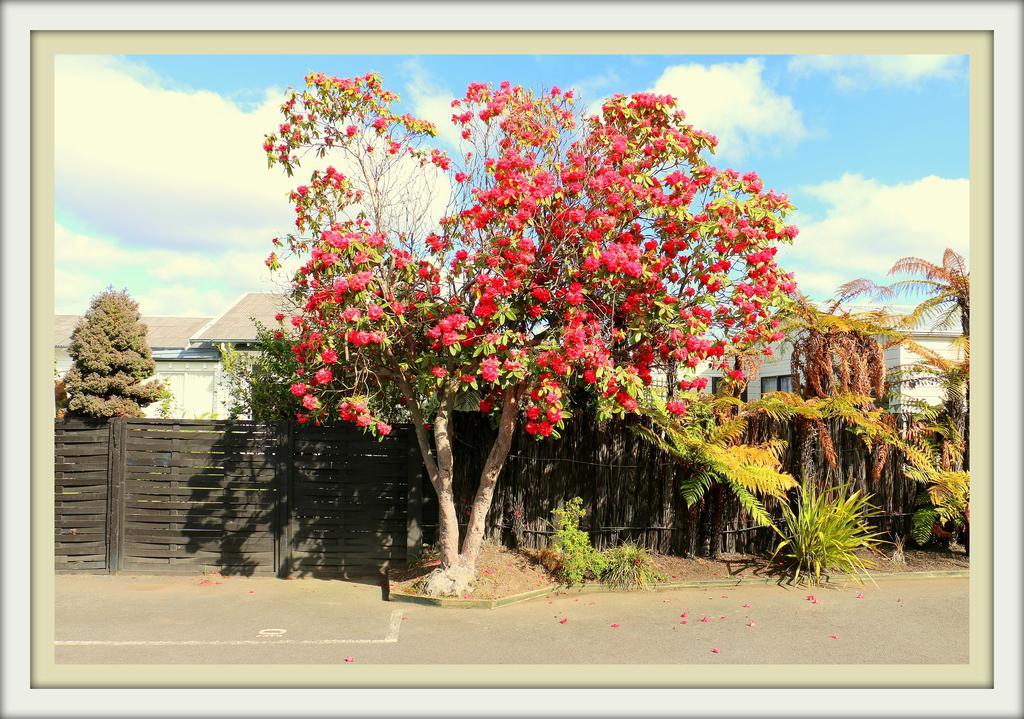 Victoria Lodge Rotorua Exteriör bild
