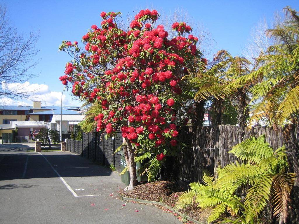 Victoria Lodge Rotorua Exteriör bild